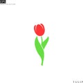 Red tulip. Isolated flower with leaves